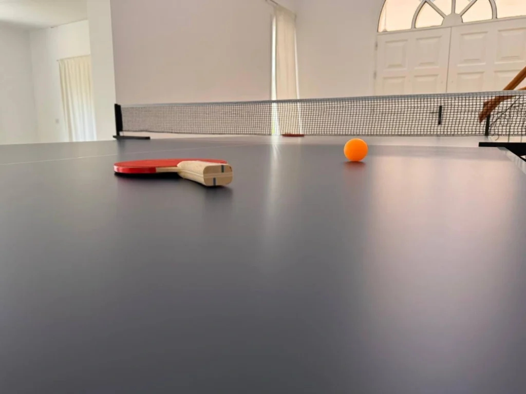 Table tennis paddle